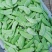 嫩玉王早熟扁豆种子，比常规扁豆提前100天上市