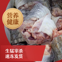 有皮去鳞鳄鱼肉质优价廉每袋都有经营利用标识贴合法销售