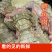 有皮去鳞鳄鱼肉质优价廉每袋都有经营利用标识贴合法销售