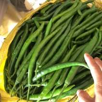 线椒，三号...合作伙伴提供