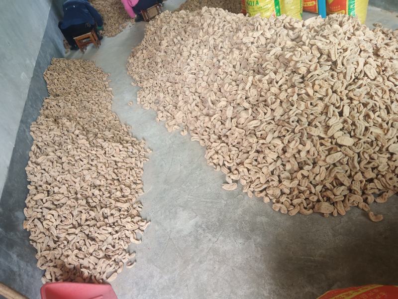 [天麻批发]足干货产地一手农户自己种植自己加工