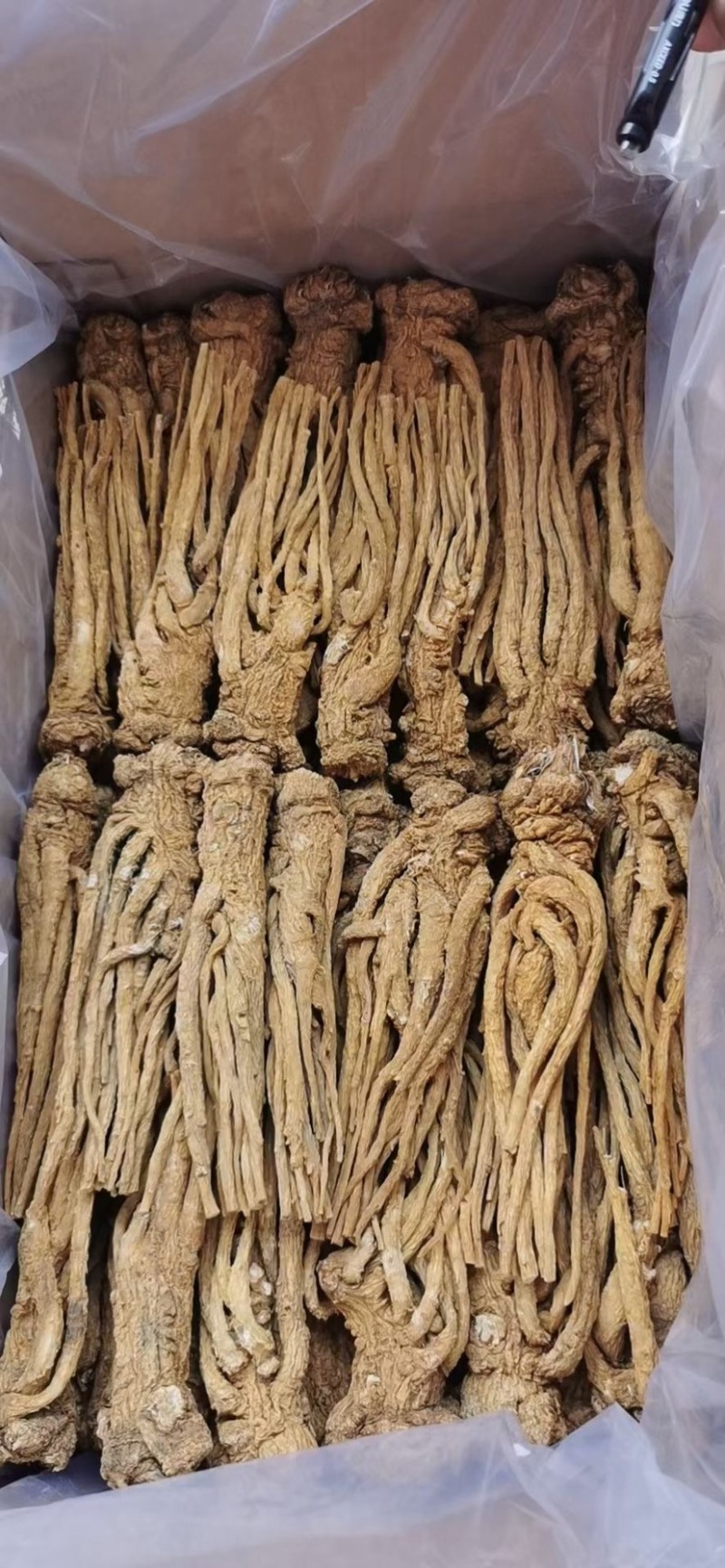 精品黄货当归个，商用个标归，水洗干货十支归五支归。