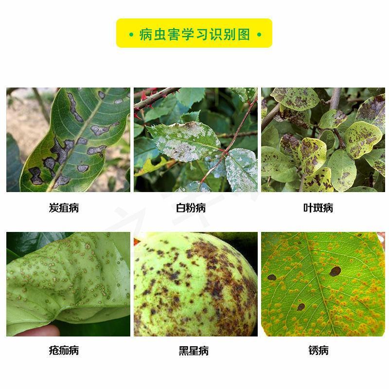 沪联世达40%苯醚甲环唑杀菌剂炭疽病白粉树脂病沙皮病农药
