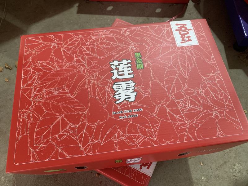 海南黑金刚莲雾【一件代发】电商平台微商代理社区团购落地配