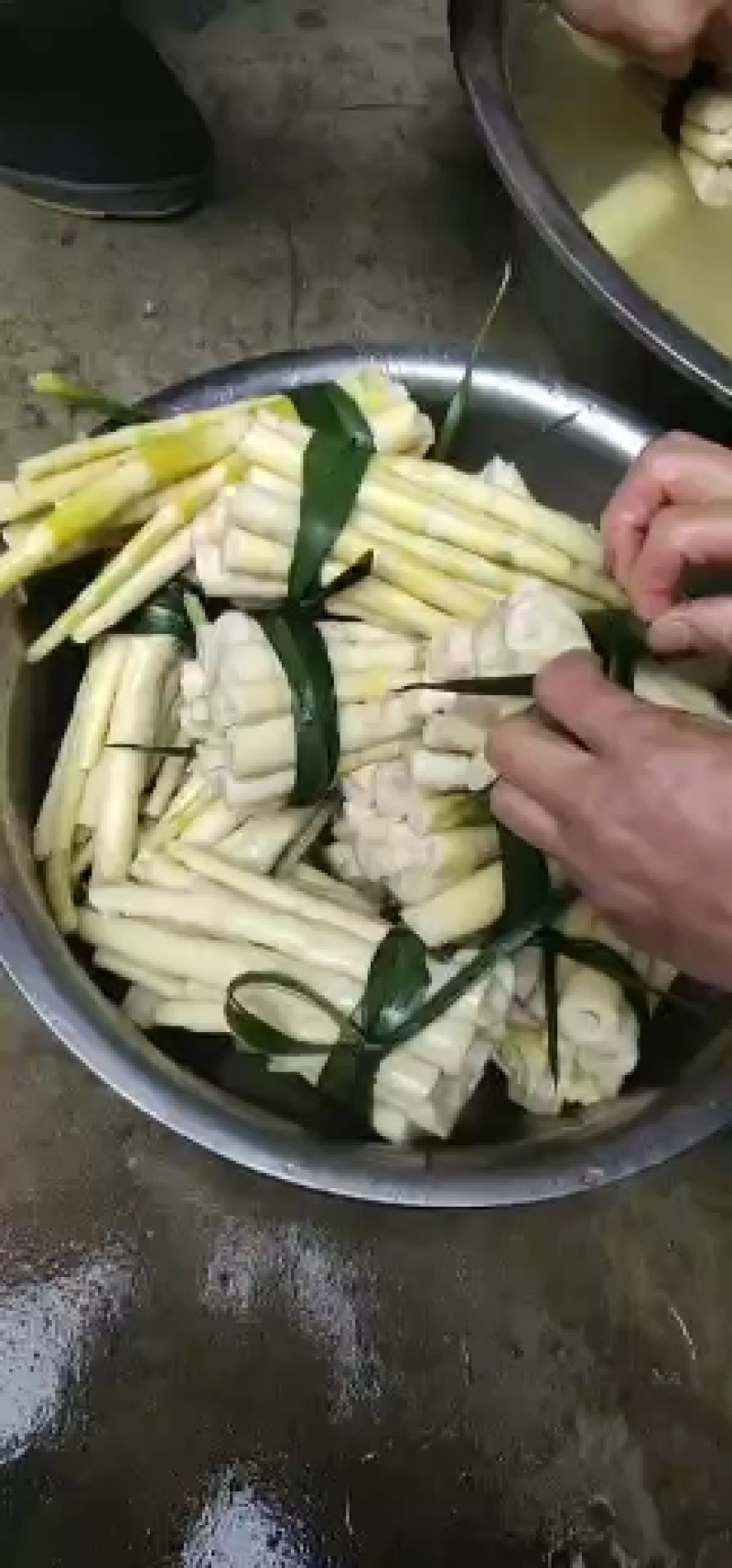木竹笋