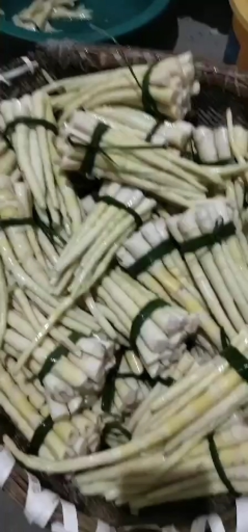 木竹笋