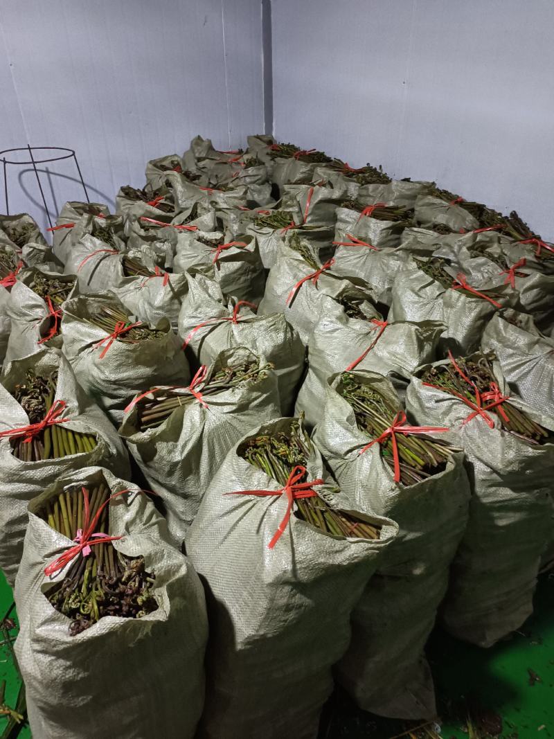 价格下调3毛，欢迎来电骚扰