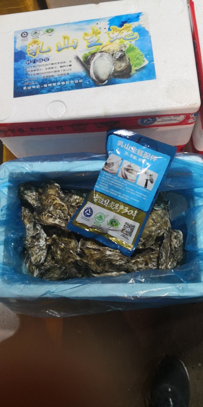 生蚝温州集散中心试招各地代理