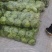 甘蓝卷心菜钢白菜莲花白大头菜绿甘蓝洋白菜圆包菜