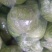 甘蓝卷心菜钢白菜莲花白大头菜绿甘蓝洋白菜圆包菜