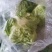 甘蓝卷心菜钢白菜莲花白大头菜绿甘蓝洋白菜圆包菜