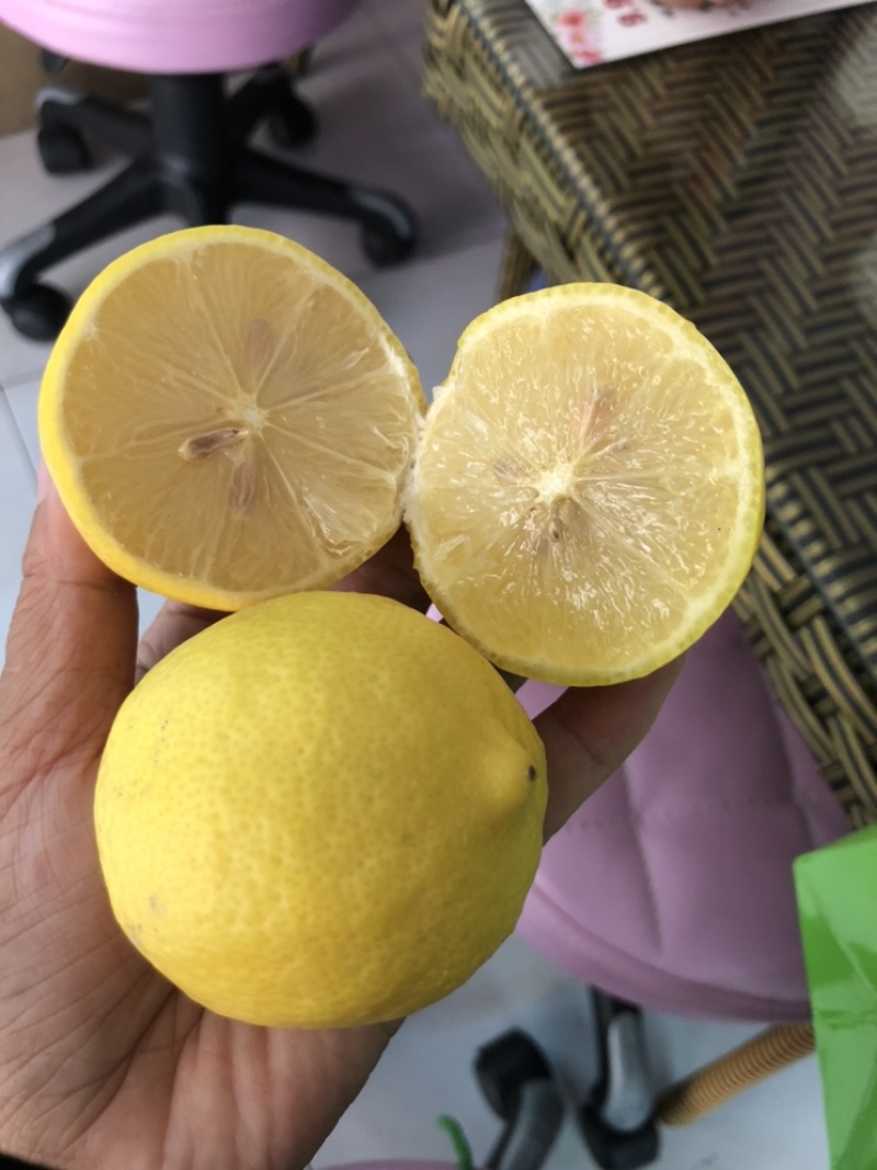 各种尤力克青皮尤力克黄皮尤力克