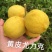 各种尤力克青皮尤力克黄皮尤力克