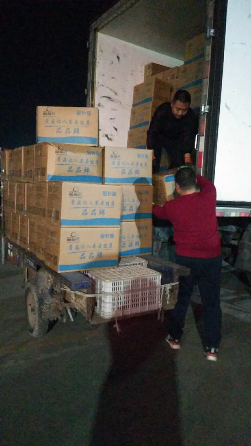 穆氏果蔬，品品鲜金针菇