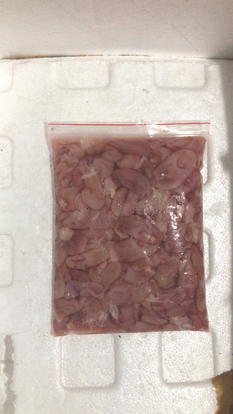 伟森特色食材批发～新鲜爽口的桂花鱼肚价格实惠