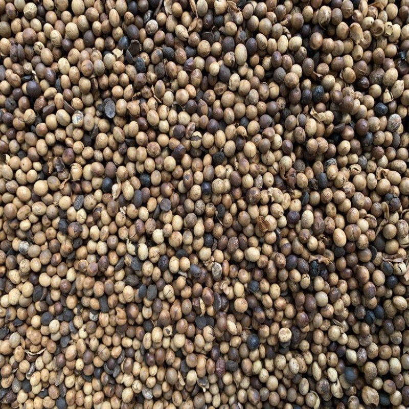 【厂里直销】生物有机肥发酵大豆生物菌腐熟肥料菌肥