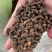 【厂里直销】生物有机肥发酵大豆生物菌腐熟肥料菌肥