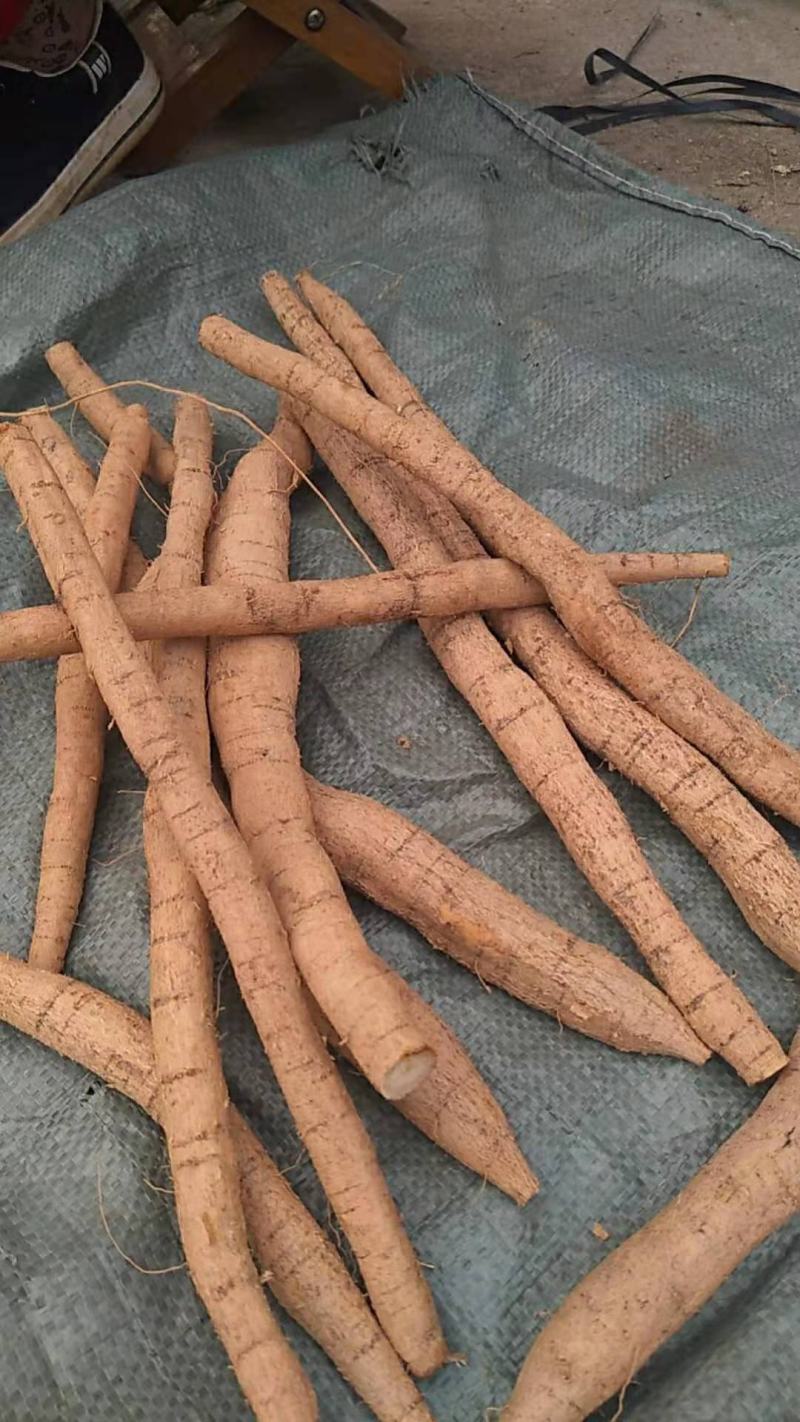 牛大力新鲜货看中的朋友下单了