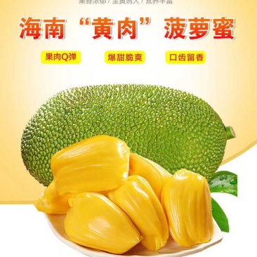 海南菠萝蜜【一件代发】电商平台微商代理社区团购实体批发