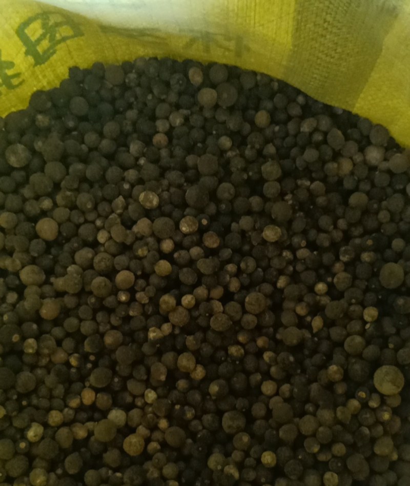 枳实江西赣南小脐橙枳实含量高无硫晒干的小园个枳实