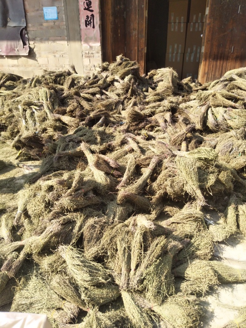 独脚金青绿新货，国内现货供应，一手货源，注：新货