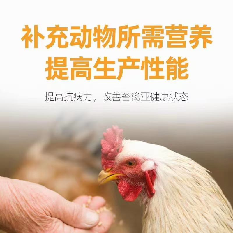 高端兽用多维，抗应激促生长，补充营养，厂家直销发货