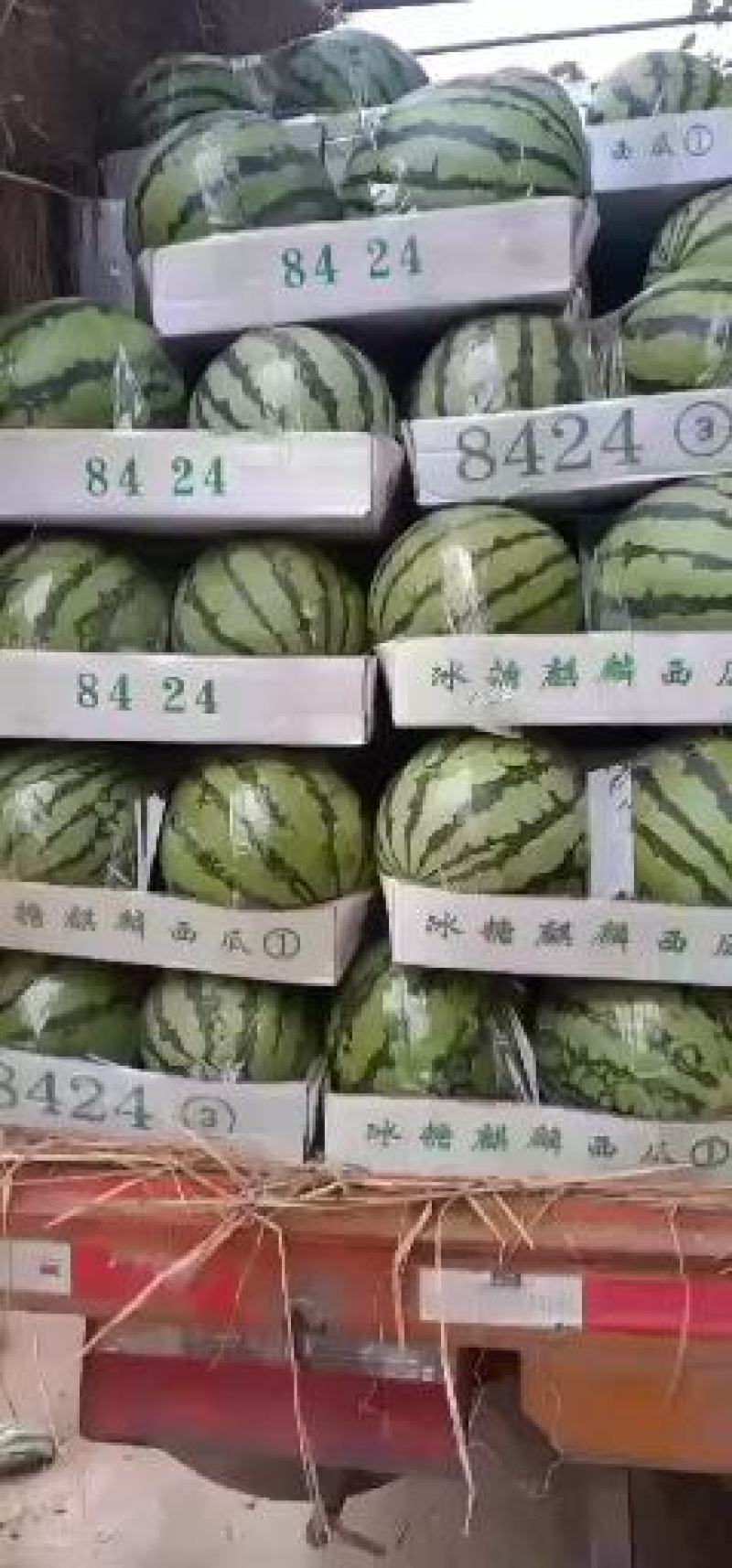 万亩美都西瓜中牟西瓜大量上市中量大从优
