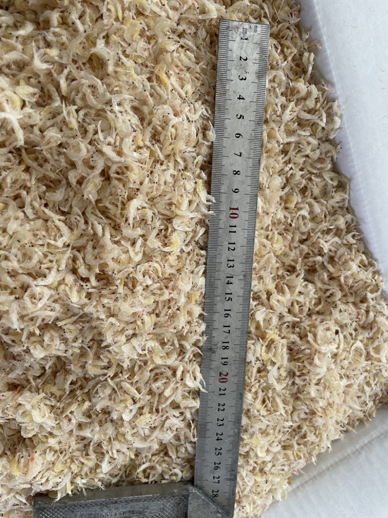 新货淡干虾皮无盐虾干即食虾皮零食水产干货批发