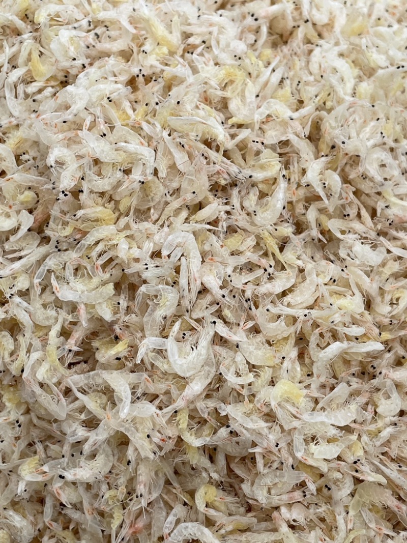 新货淡干虾皮无盐虾干即食虾皮零食水产干货批发
