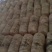 出售高温平菇榆黄蘑岀菇菌包