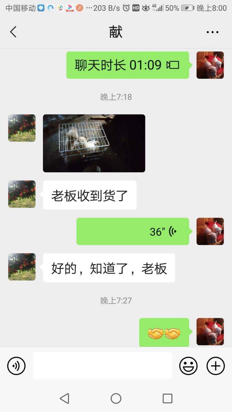下司犬到新主人家，愿小犬健康成长