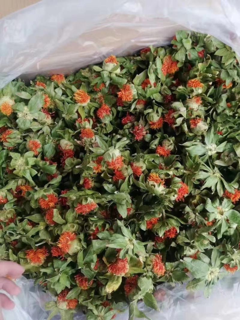 藏红花，产自西藏高原，纯干的，颜色质量佳，库房大量现货！