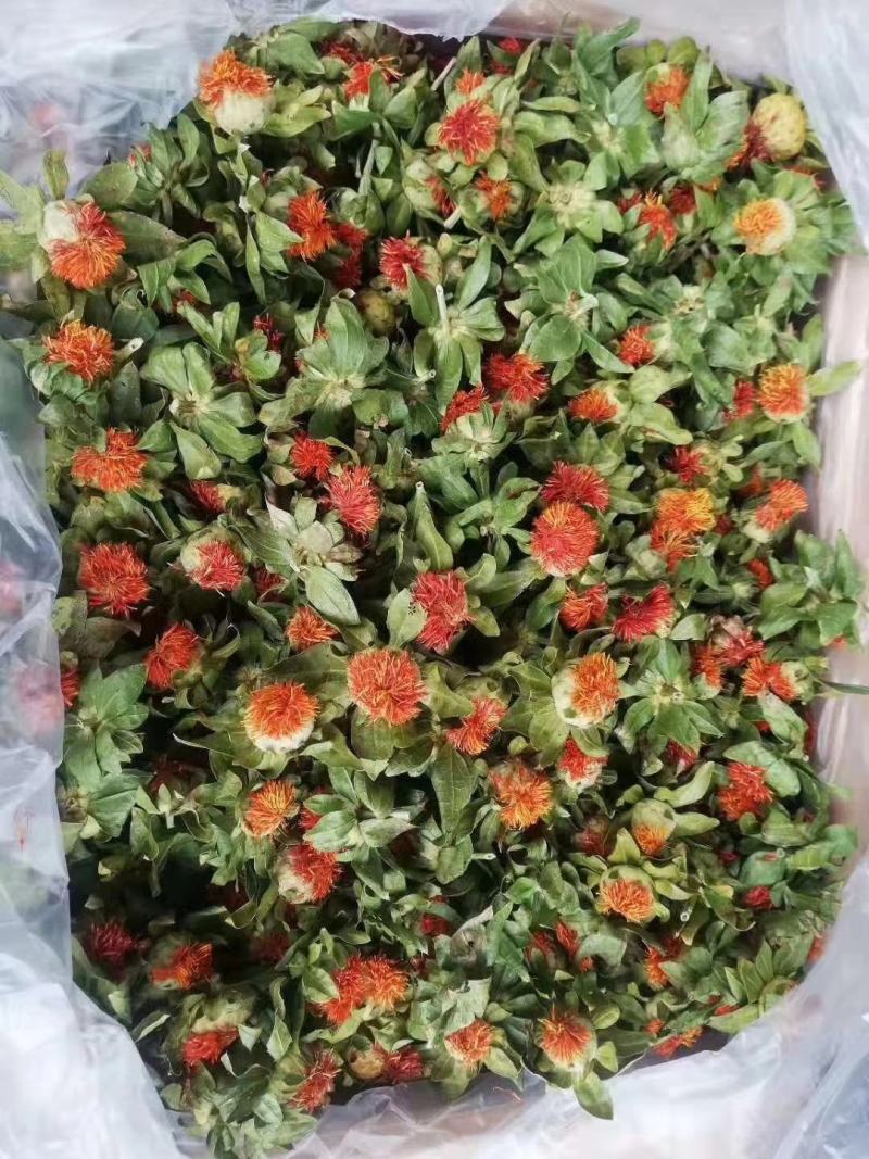 藏红花，产自西藏高原，纯干的，颜色质量佳，库房大量现货！