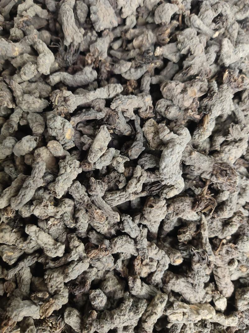 天葵子中药材批发天葵籽千年老鼠屎金耗子屎