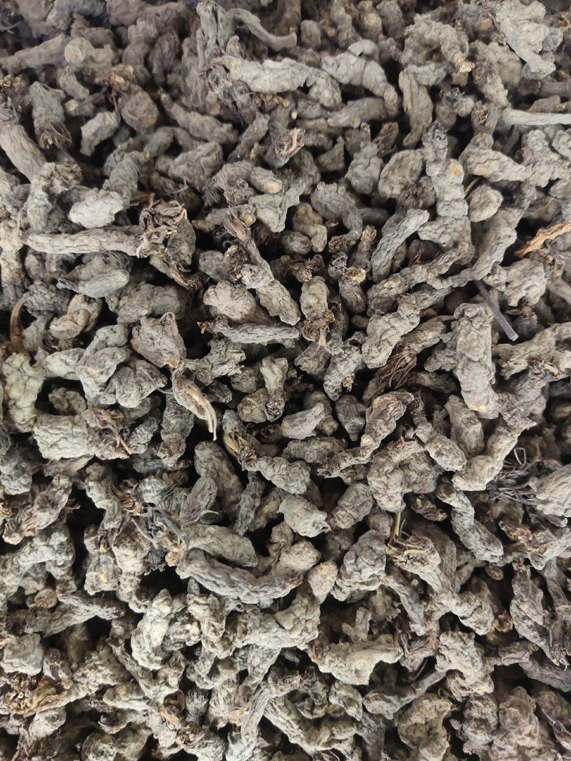 天葵子中药材批发天葵籽千年老鼠屎金耗子屎