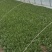 欢迎新老客户实地看菜