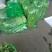 山东兰陵精品小香芹菜，大量有货，价格不高，保质保量，