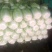 推荐潍坊青州精品白菜菊锦4~6斤净菜潍坊青州