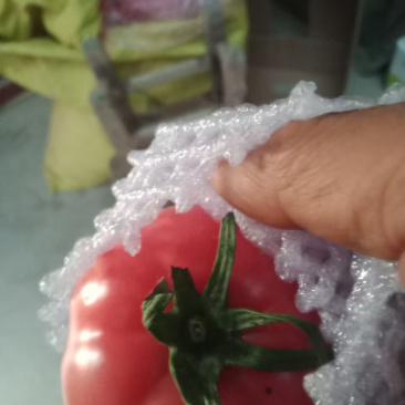 普罗旺斯精品挑装水果西红柿