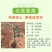 无花果苗树苗波姬红水果苗木可盆栽地栽南北方种植当年结果