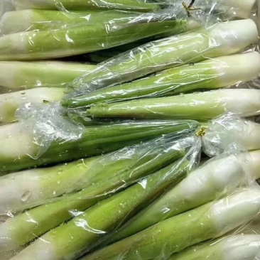 茭白（高碑店新发地特菜批发大厅）