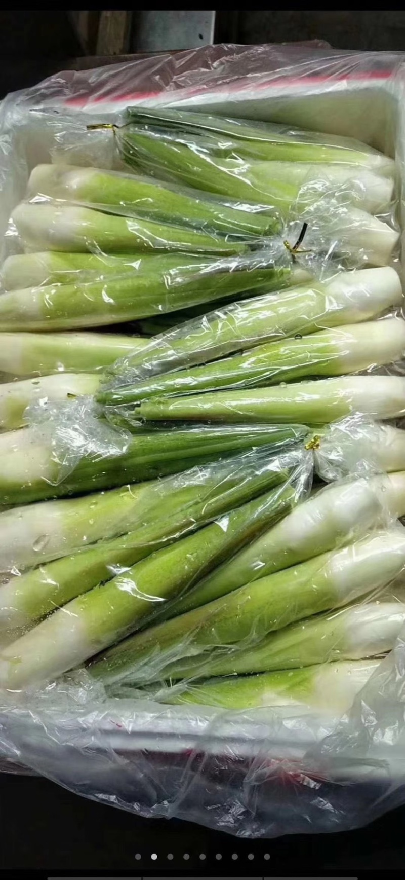茭白（高碑店新发地特菜批发大厅）