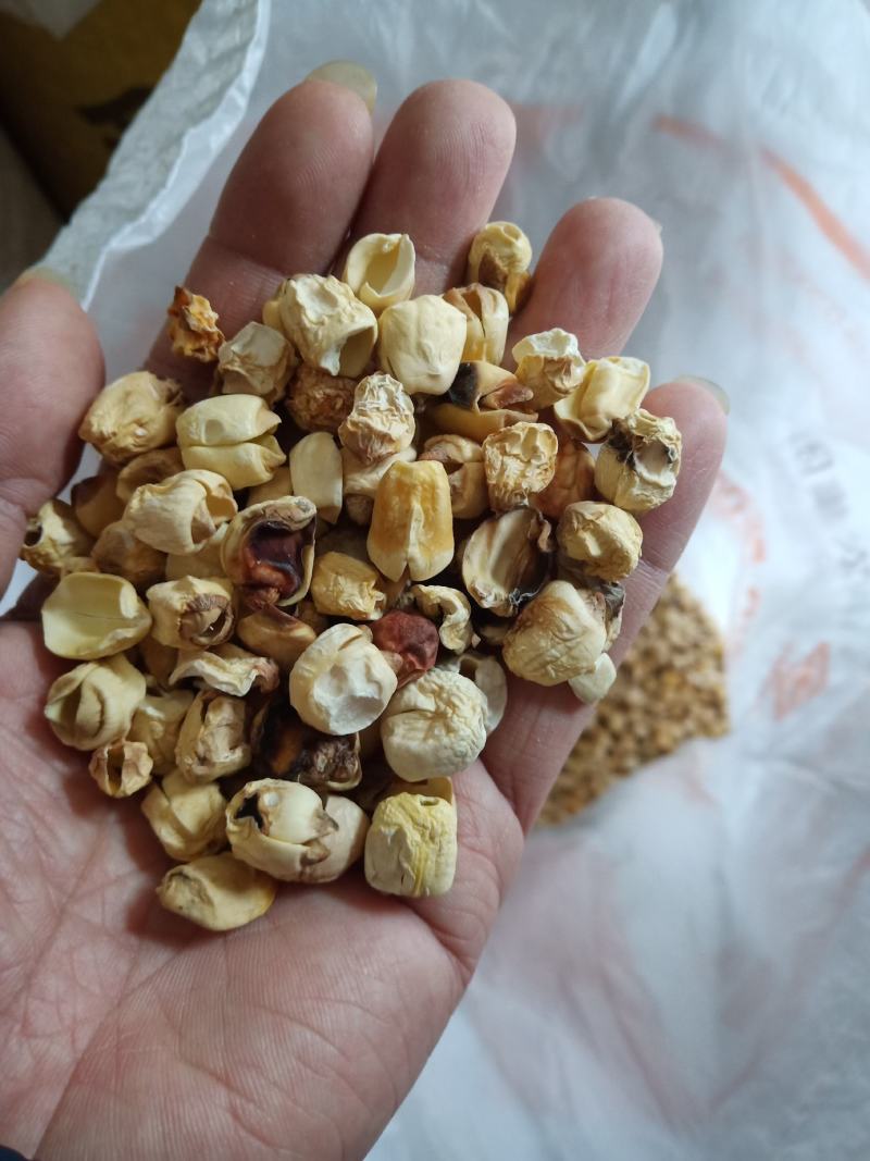广昌白莲小莲子捻子酿酒打粉莲子