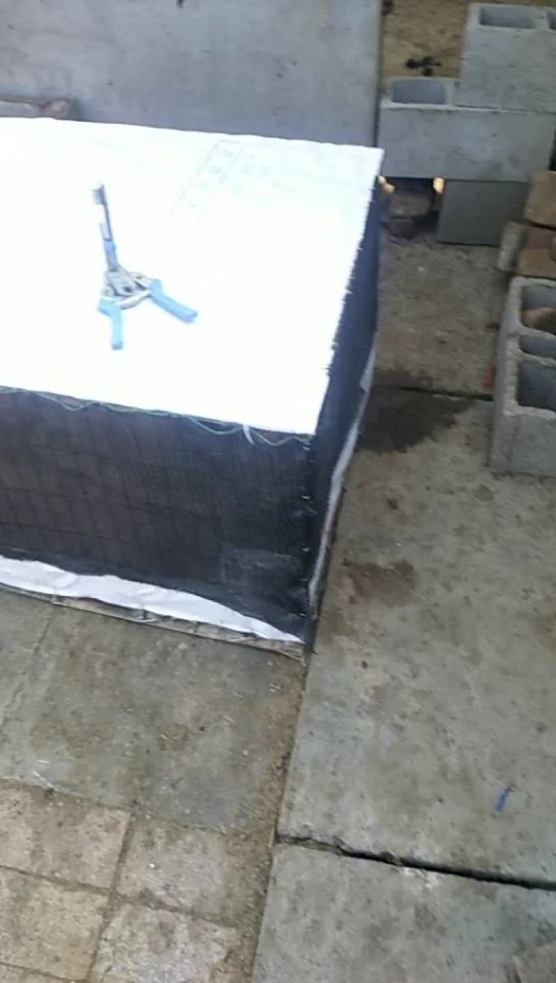 诚信经营货到付款长白猪八马香猪藏香猪备孕母猪
