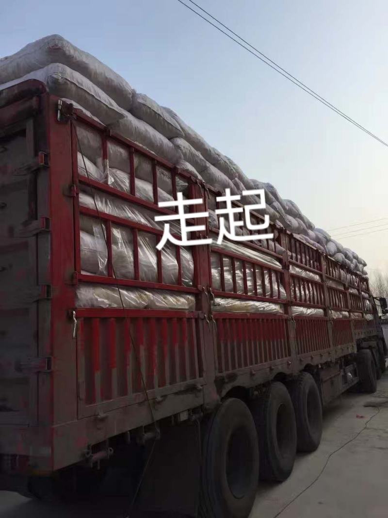 山东麦冬山麦冬散装统货新货产地直供中药材批发大量批发各种