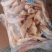 露骨翅中适合电商团购平台批发，鸡副，鸡分割