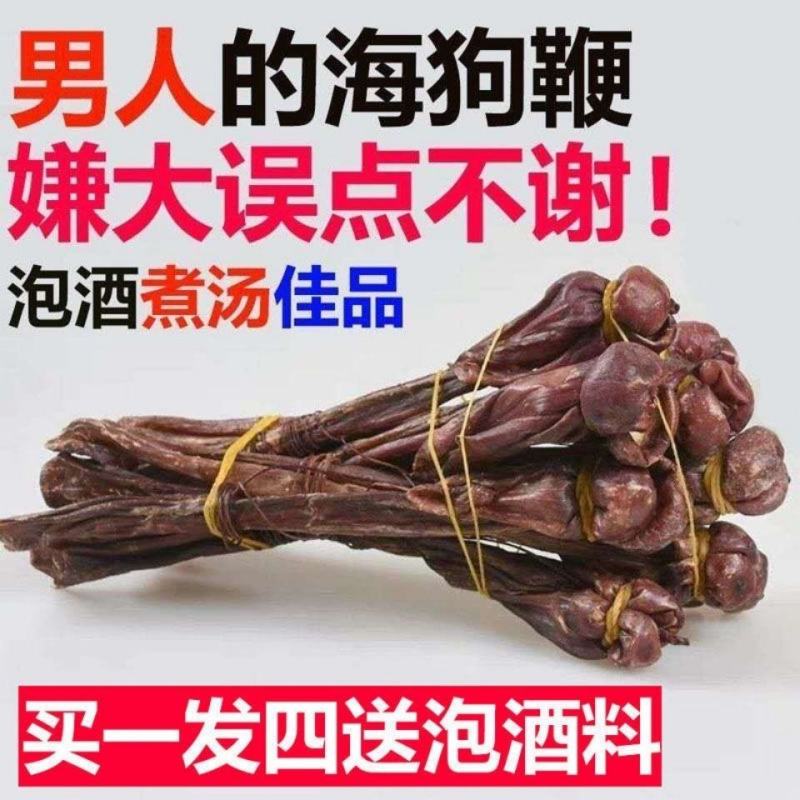 海狗肾特级泡酒药材男性养生固本量大从优