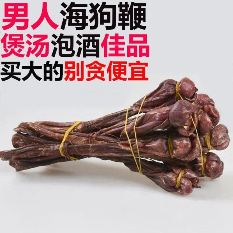 海狗肾特级泡酒药材男性养生固本量大从优