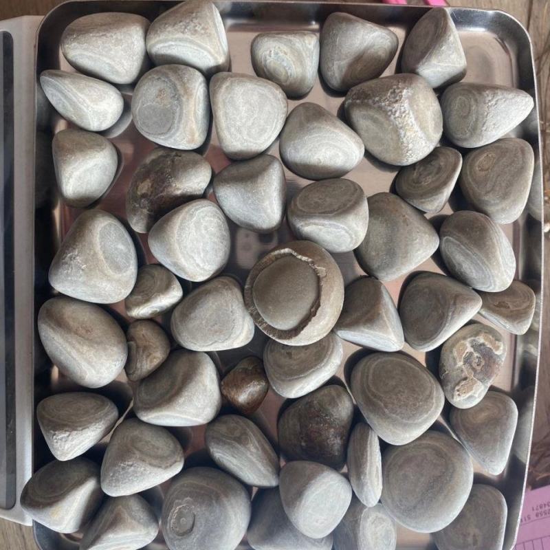 马宝中药材新货包邮马粪石马宝量大从优