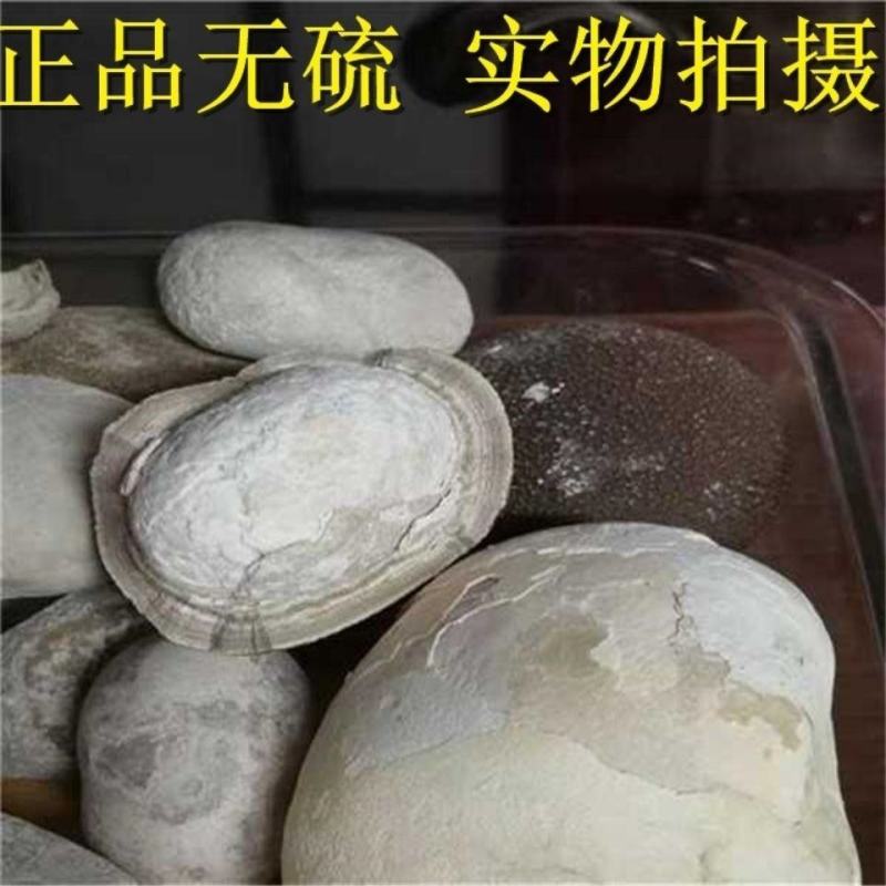 马宝中药材新货包邮马粪石马宝量大从优
